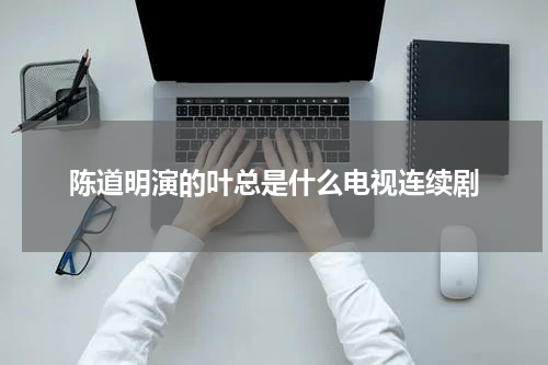 陈道明演的叶总是什么电视连续剧
