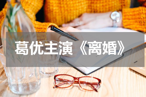 葛优主演《离婚》