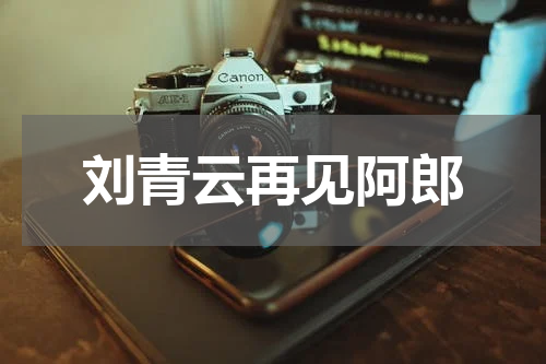 刘青云再见阿郎