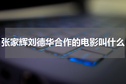 张家辉刘德华合作的电影叫什么