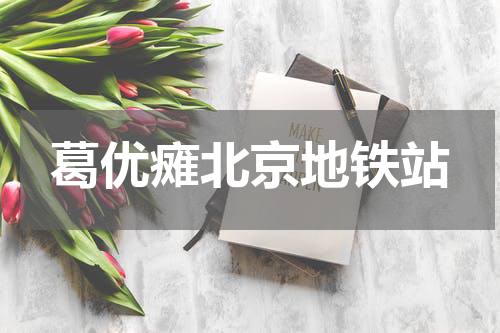 葛优瘫北京地铁站