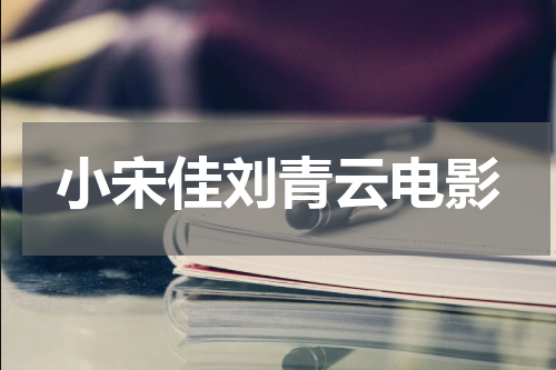 小宋佳刘青云电影