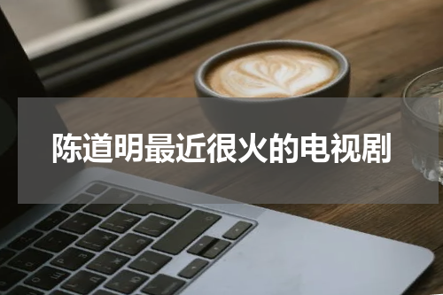 陈道明最近很火的电视剧