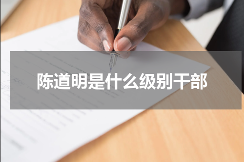 陈道明是什么级别干部