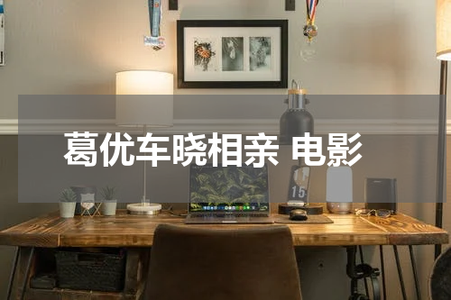 葛优车晓相亲 电影
