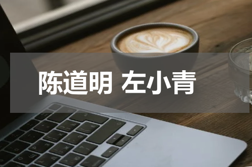 陈道明 左小青