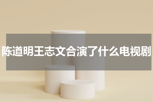 陈道明王志文合演了什么电视剧