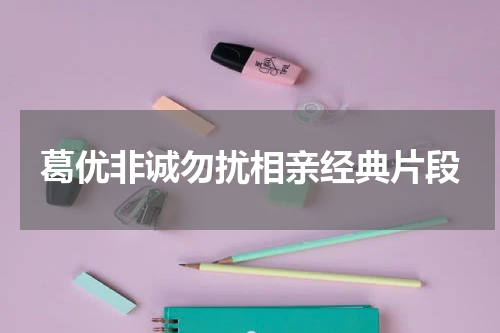葛优非诚勿扰相亲经典片段