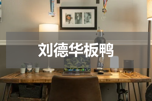 刘德华板鸭
