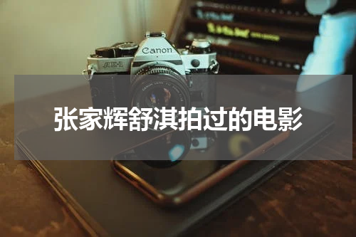 张家辉舒淇拍过的电影