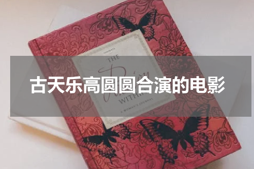 古天乐高圆圆合演的电影