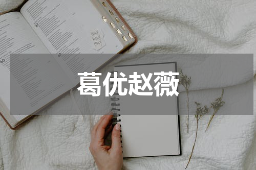 葛优赵薇