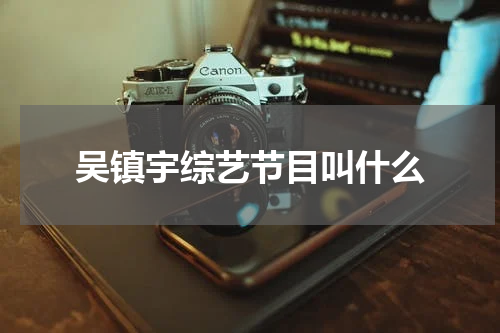 吴镇宇综艺节目叫什么