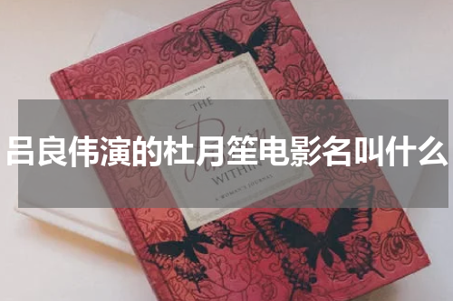 吕良伟演的杜月笙电影名叫什么
