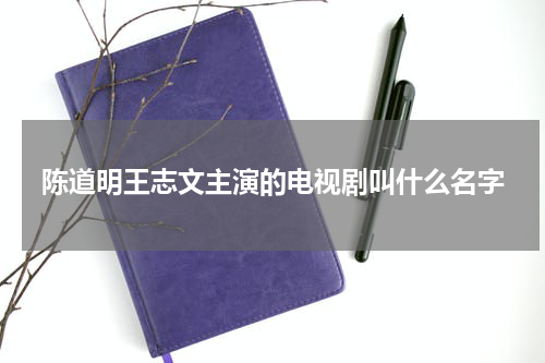 陈道明王志文主演的电视剧叫什么名字