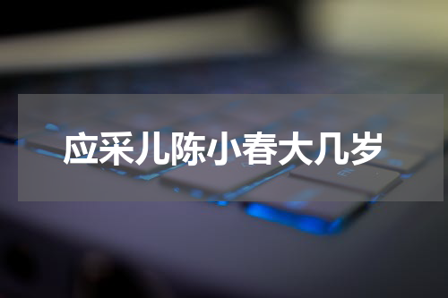 应采儿陈小春大几岁