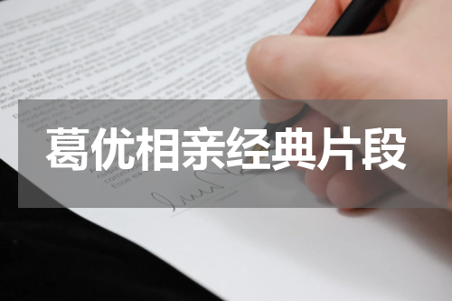 葛优相亲经典片段