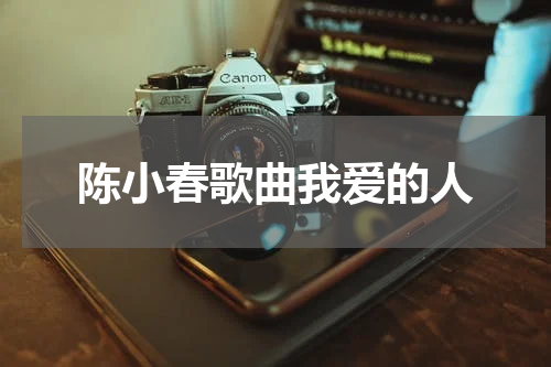 陈小春歌曲我爱的人