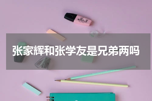张家辉和张学友是兄弟两吗