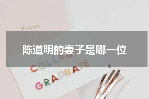 陈道明的妻子是哪一位