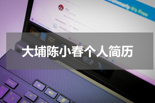 大埔陈小春个人简历