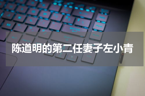 陈道明的第二任妻子左小青