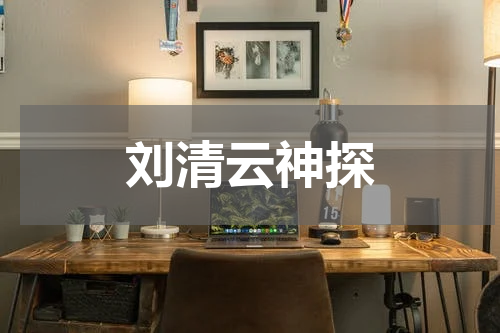 刘清云神探