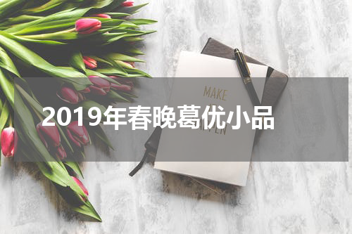 2019年春晚葛优小品