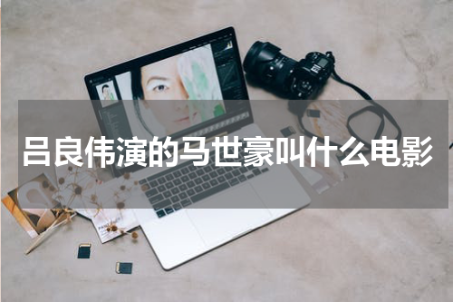 吕良伟演的马世豪叫什么电影