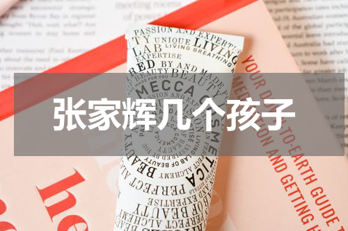 张家辉几个孩子