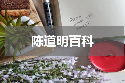 陈道明百科