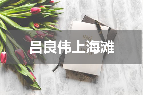 吕良伟上海滩