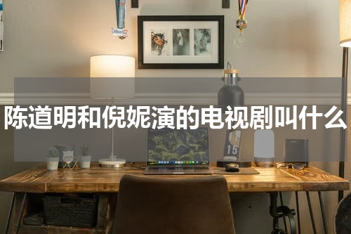 陈道明和倪妮演的电视剧叫什么