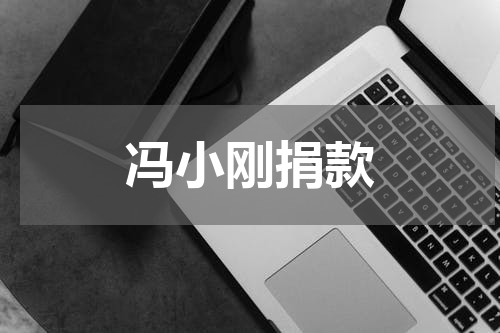 冯小刚捐款