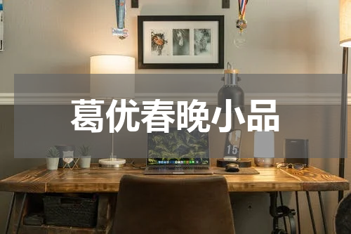 葛优春晚小品