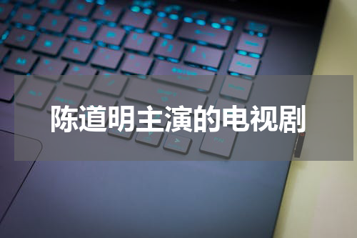 陈道明主演的电视剧