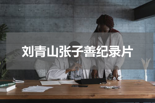 刘青山张子善纪录片
