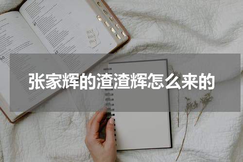 张家辉的渣渣辉怎么来的