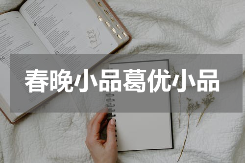 春晚小品葛优小品