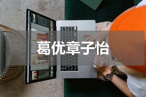 葛优章子怡
