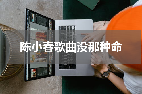 陈小春歌曲没那种命