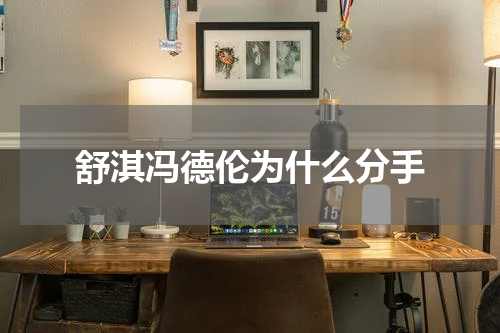 舒淇冯德伦为什么分手