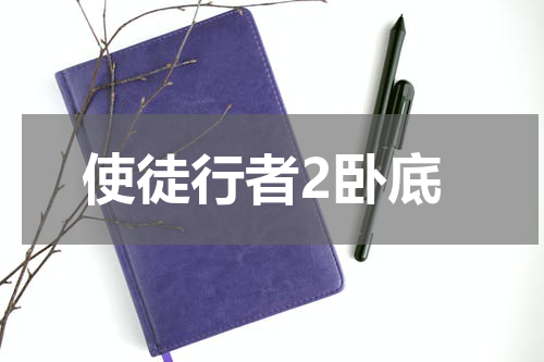 使徒行者2卧底