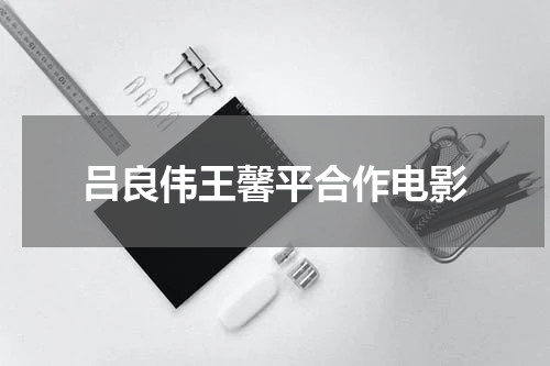 吕良伟王馨平合作电影