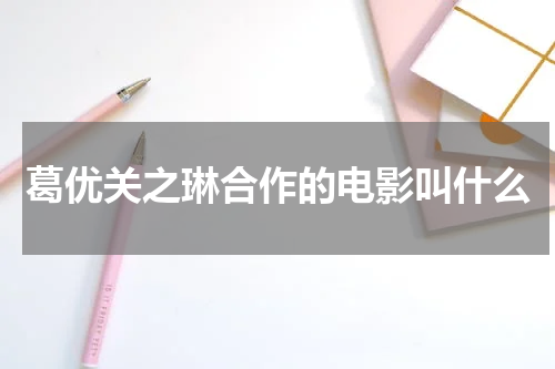 葛优关之琳合作的电影叫什么