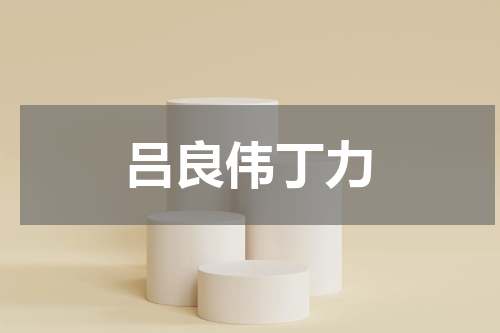 吕良伟丁力