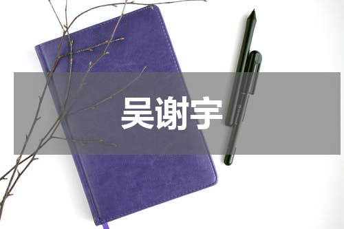 吴谢宇