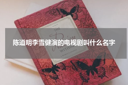 陈道明李雪健演的电视剧叫什么名字