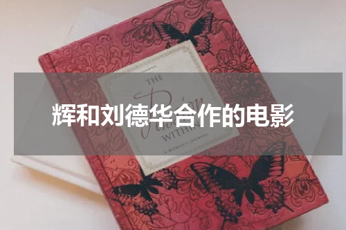 辉和刘德华合作的电影