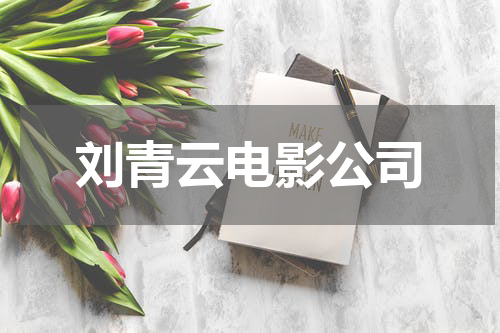 刘青云电影公司